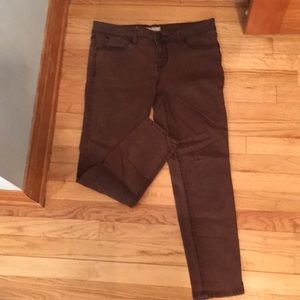 Brownish Maroon Pants